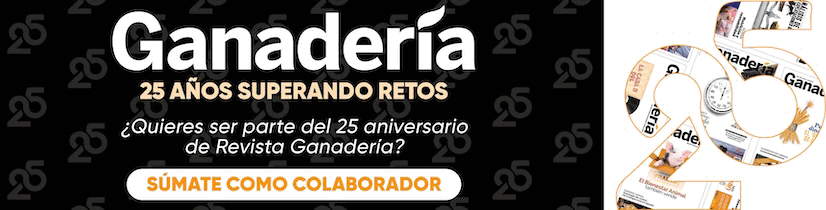 202508-megabannerseccion-25aniversario-GA