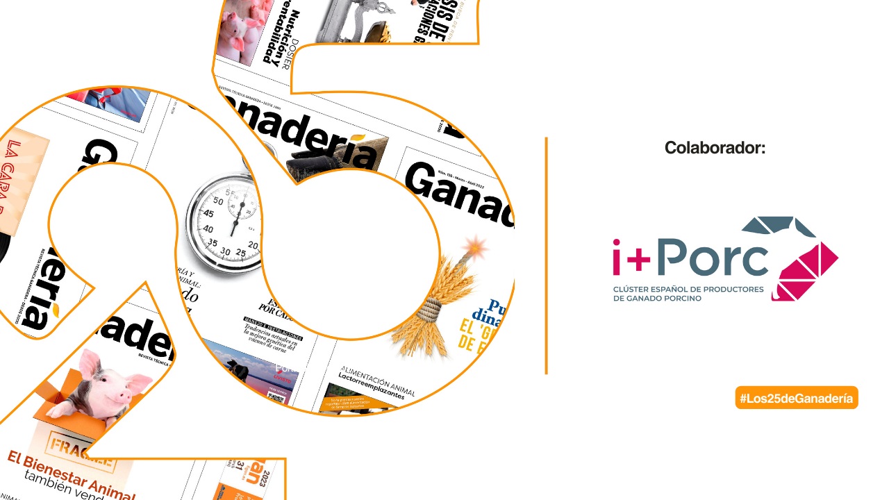 imagen principal noticia