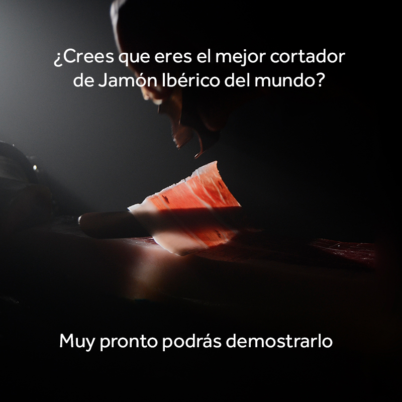 imagen principal noticia