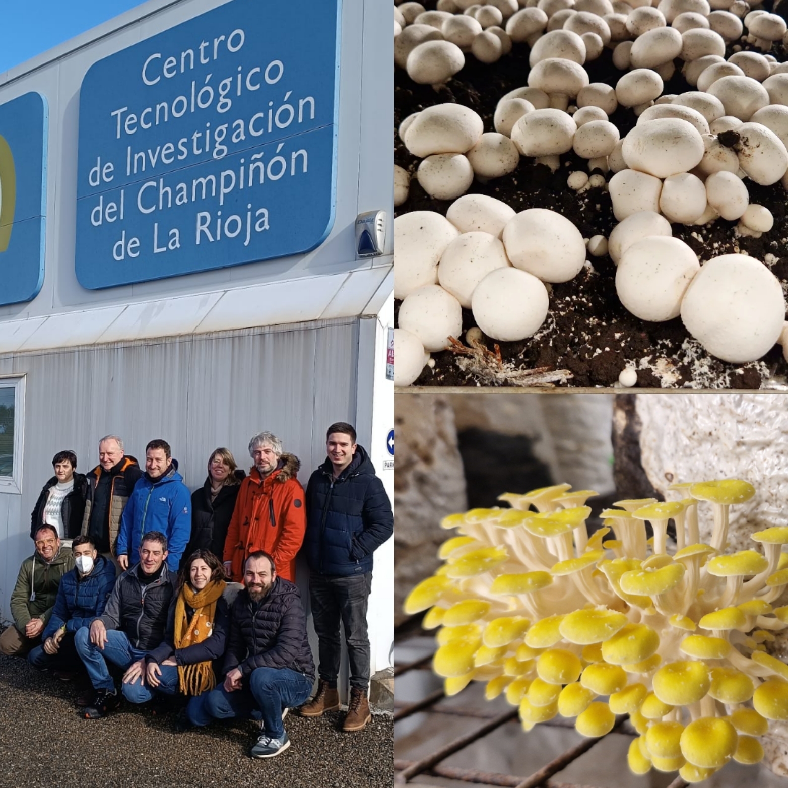 imagen principal noticia