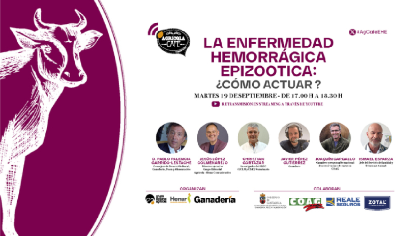 imagen principal noticia