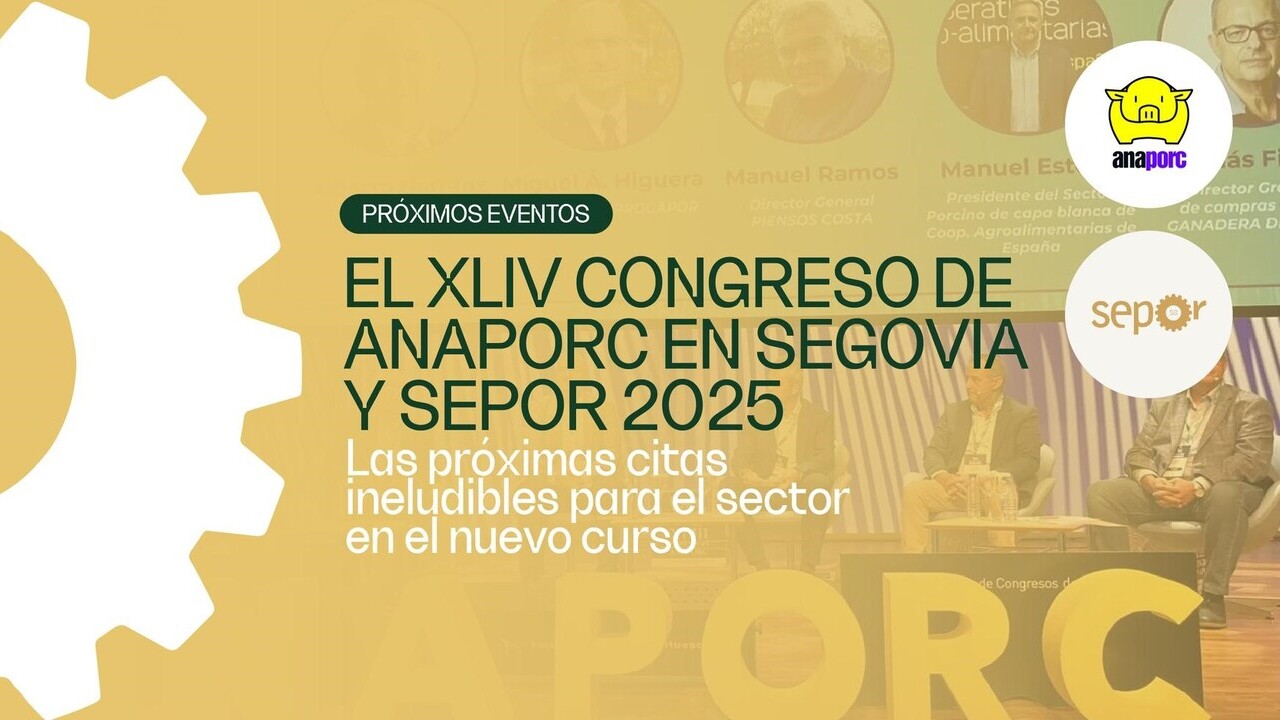 imagen principal noticia
