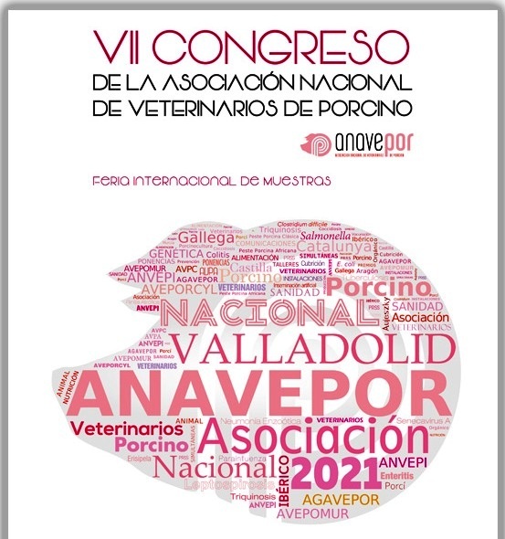 imagen principal noticia