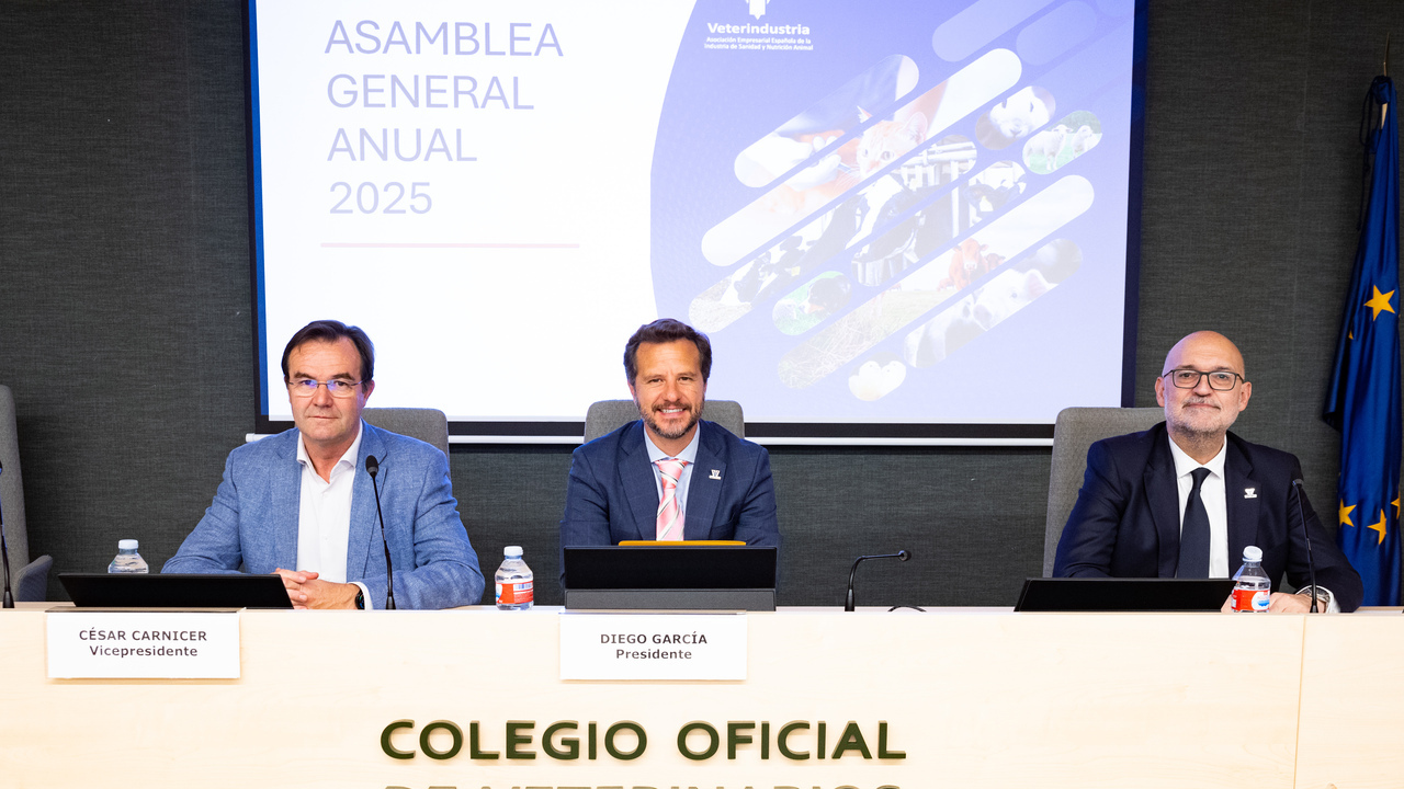imagen principal noticia