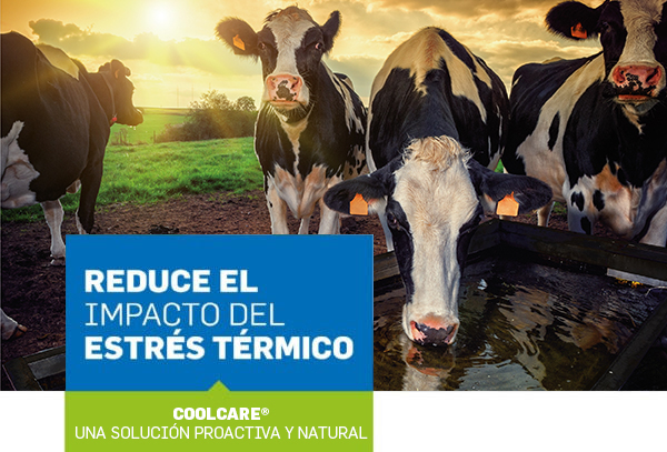 imagen principal noticia