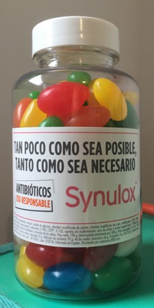 imagen principal noticia