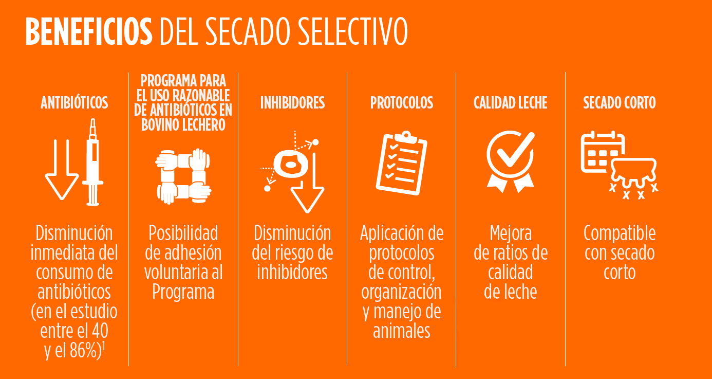 imagen principal noticia