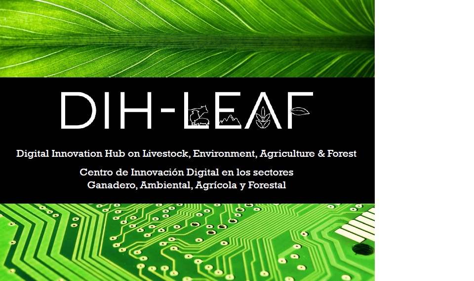 imagen principal noticia