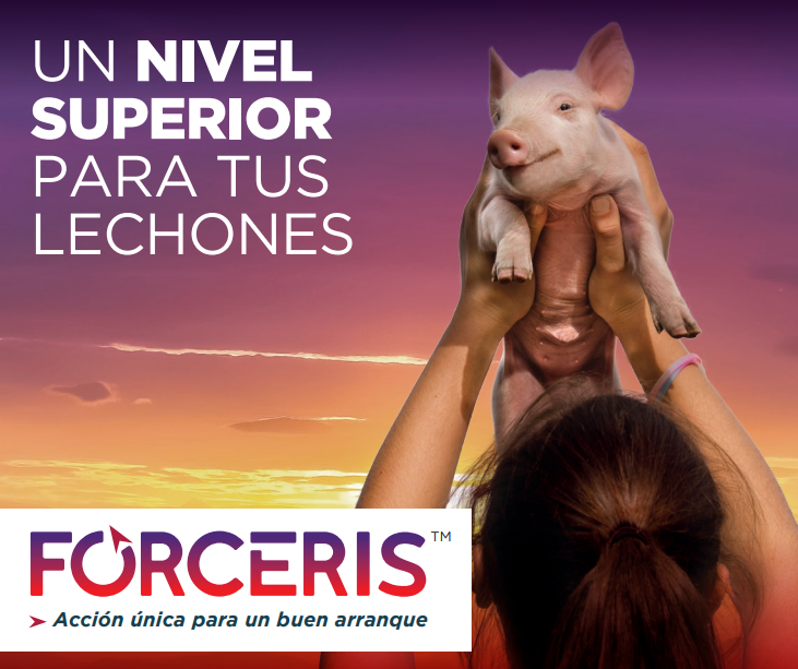 imagen principal noticia
