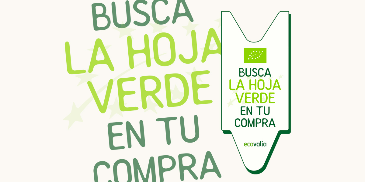 imagen principal noticia