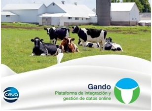 imagen principal noticia