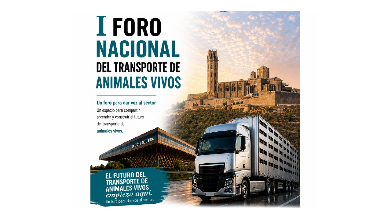 imagen principal noticia