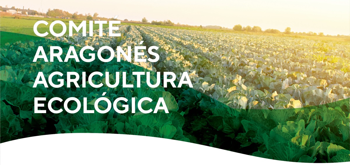 imagen principal noticia