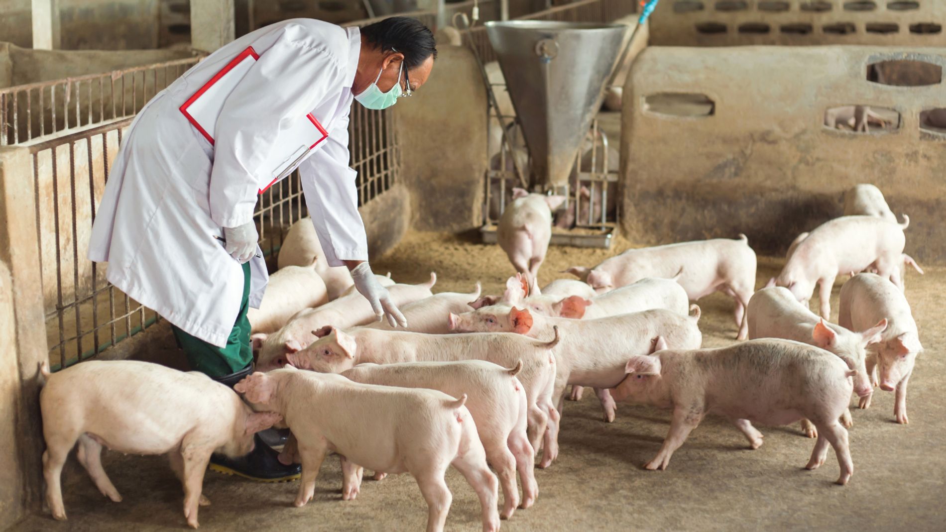 imagen principal noticia