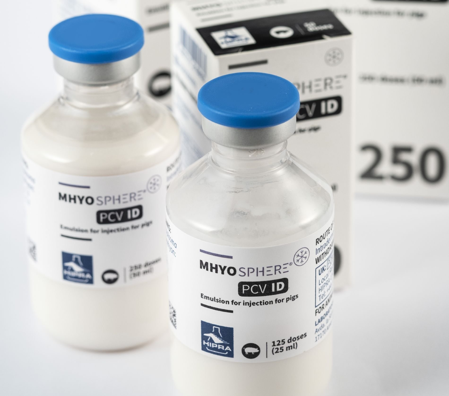 imagen principal noticia