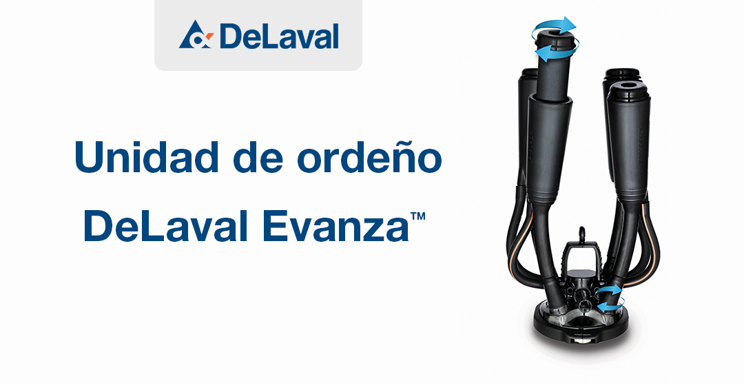 imagen principal noticia