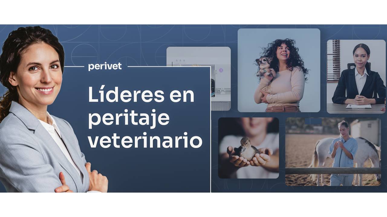 imagen principal noticia