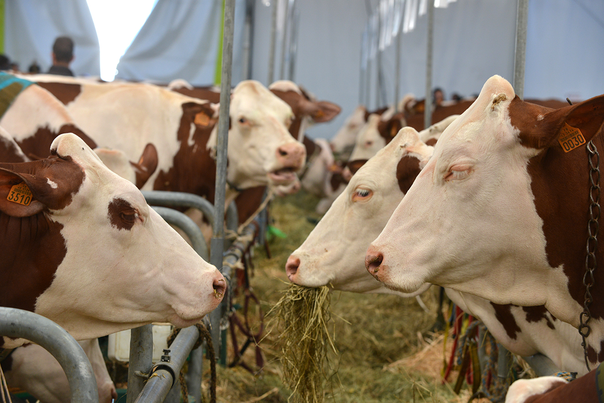 imagen principal noticia