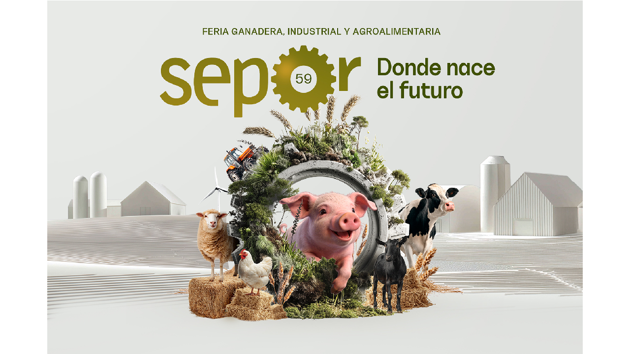 imagen principal noticia