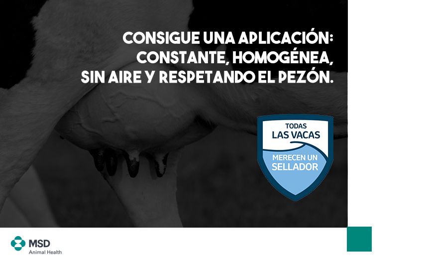 imagen principal noticia