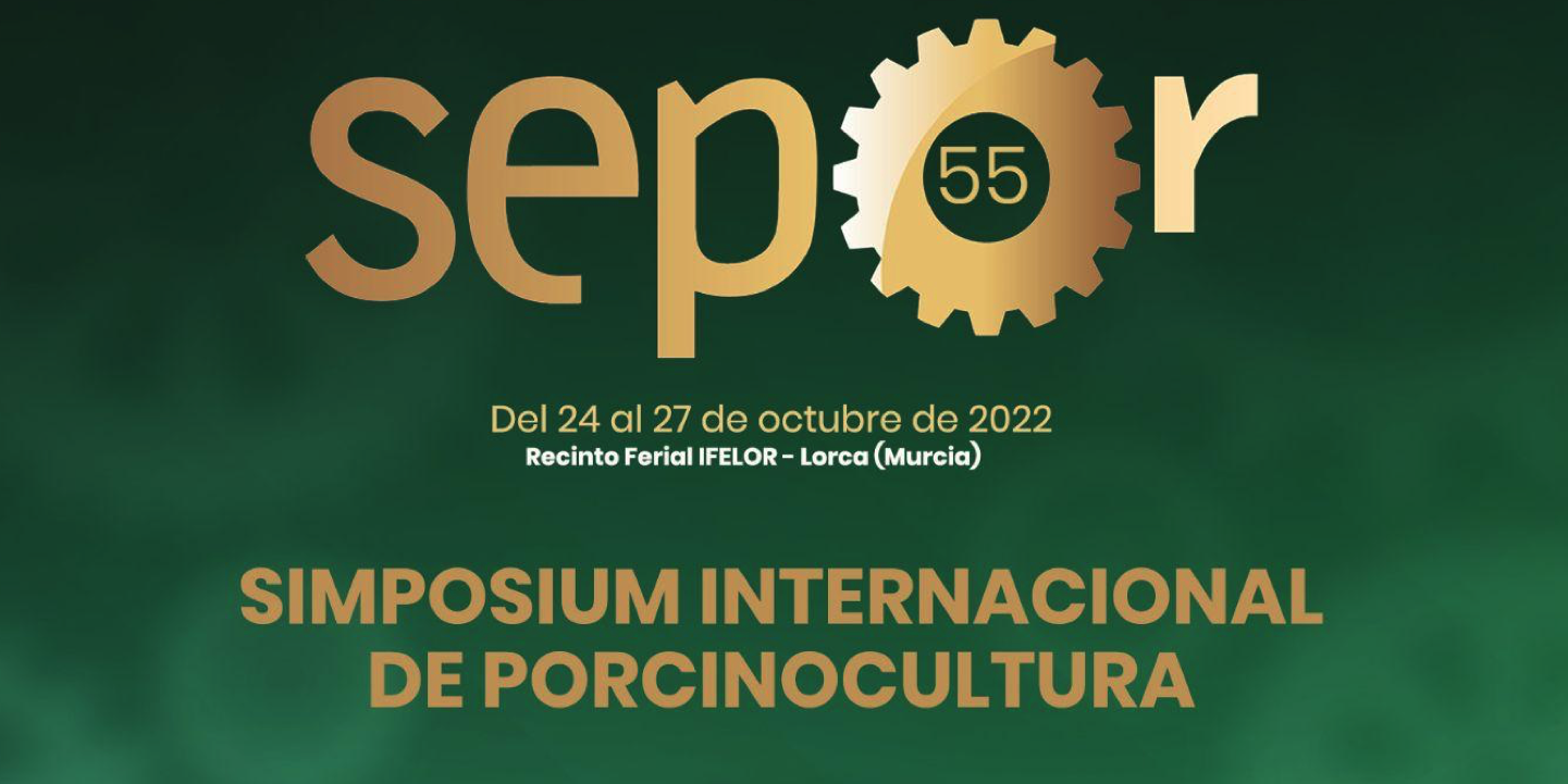 imagen principal noticia
