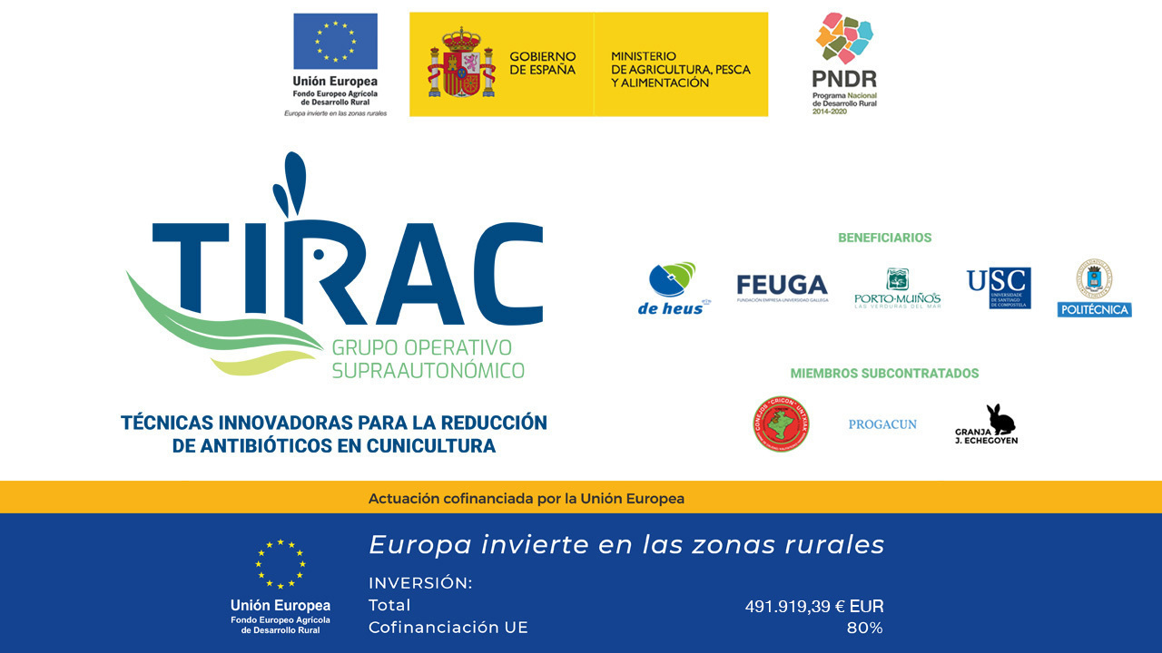 imagen principal noticia