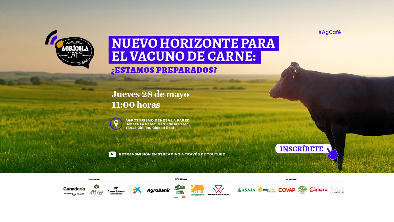 imagen principal noticia