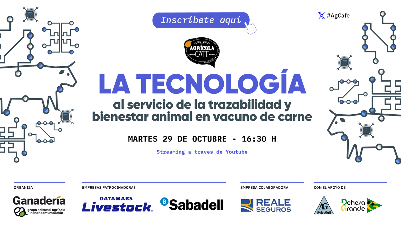 imagen principal noticia