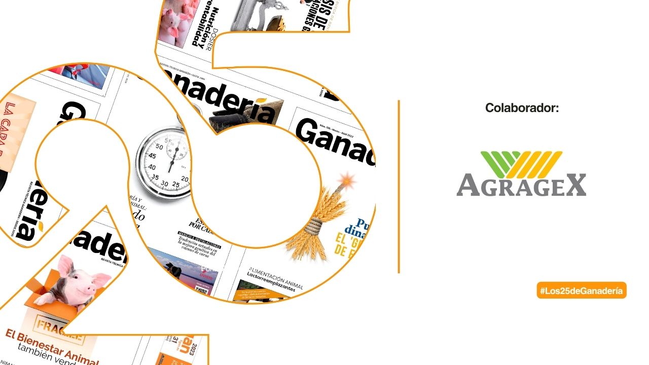 imagen principal noticia