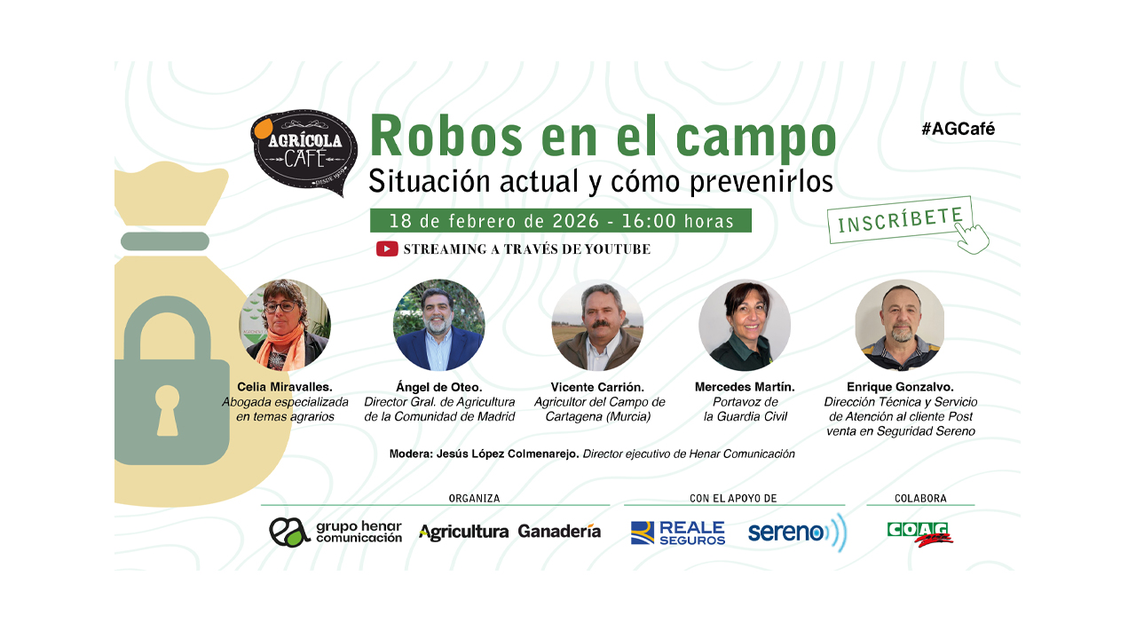 imagen principal noticia
