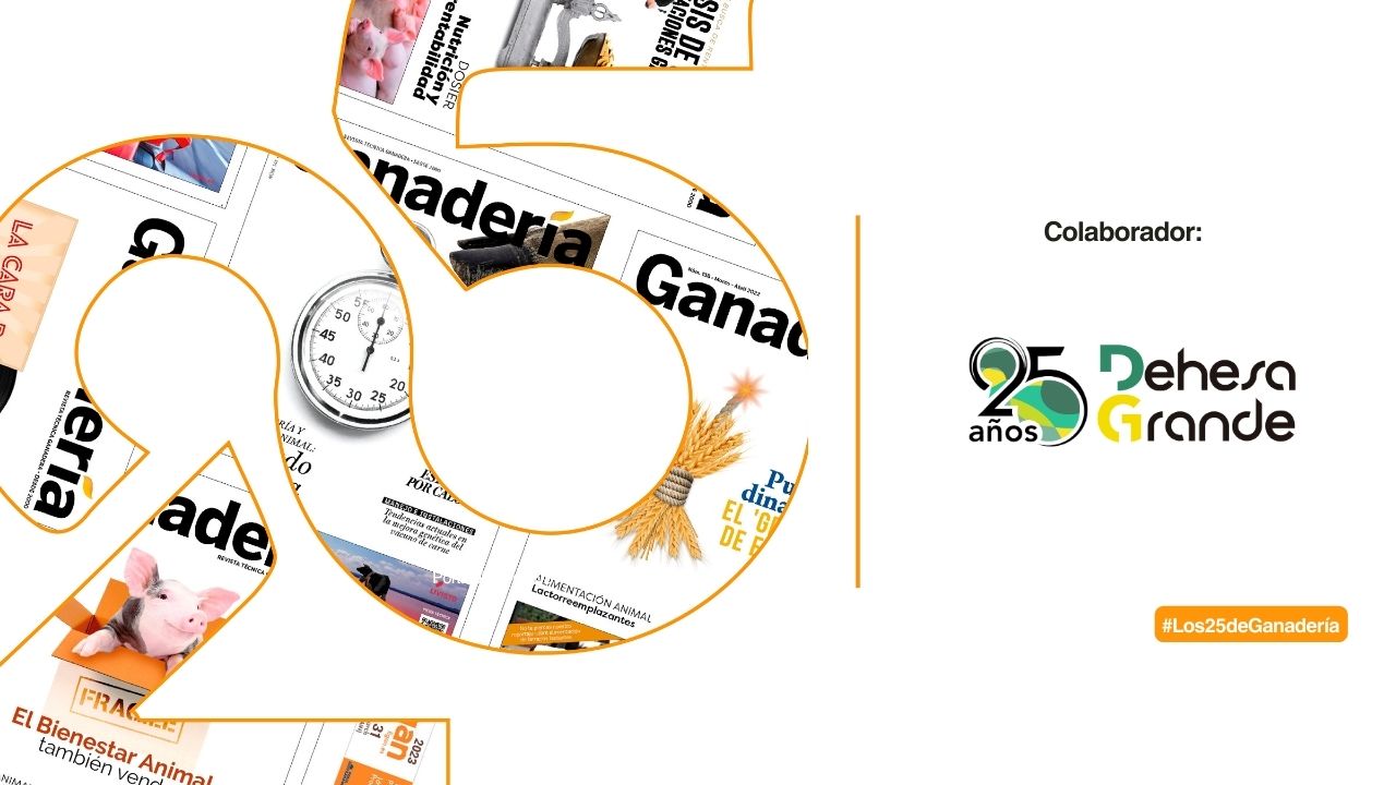 imagen principal noticia