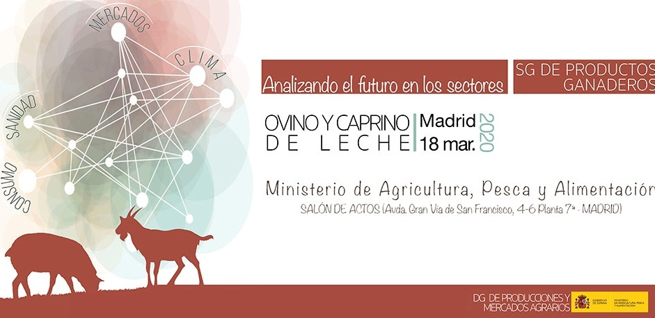 imagen principal noticia