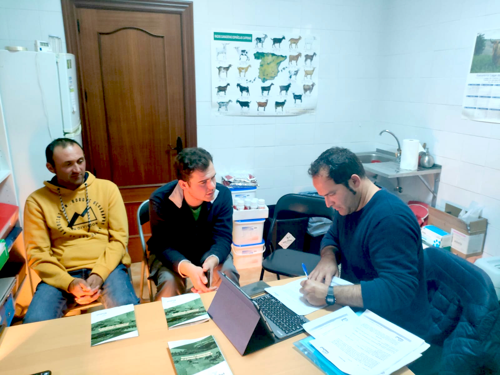 imagen principal noticia