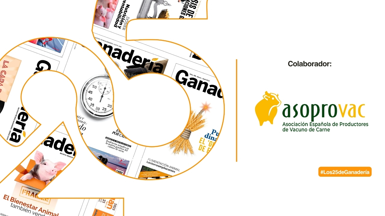 imagen principal noticia