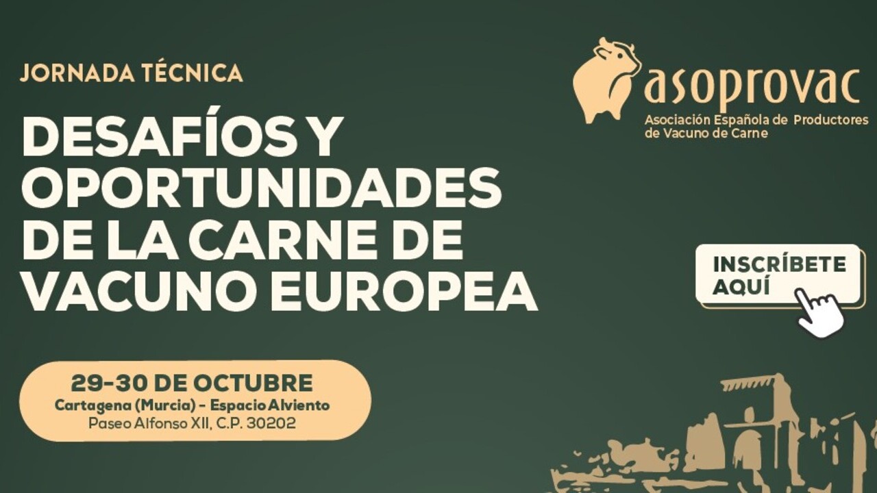 imagen principal noticia