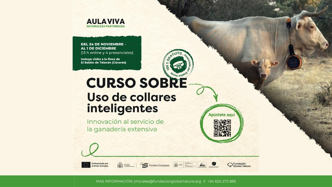 imagen principal noticia