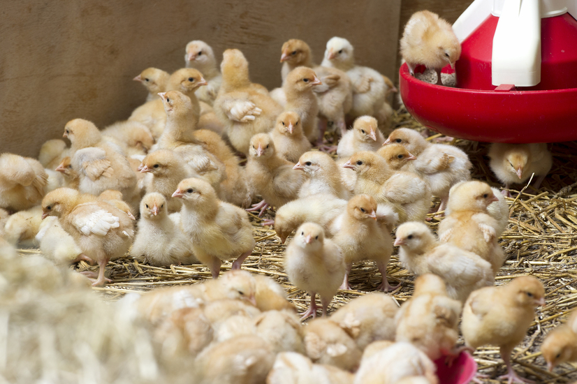 imagen principal noticia