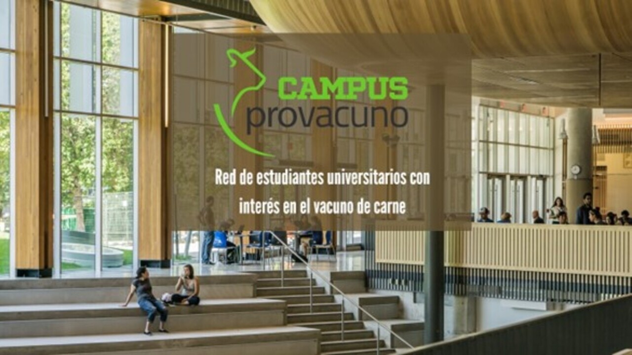 imagen principal noticia