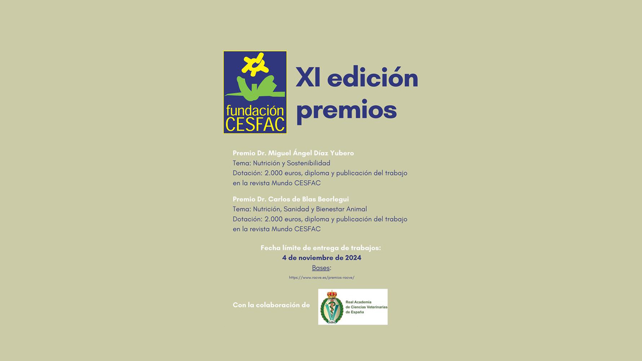 imagen principal noticia