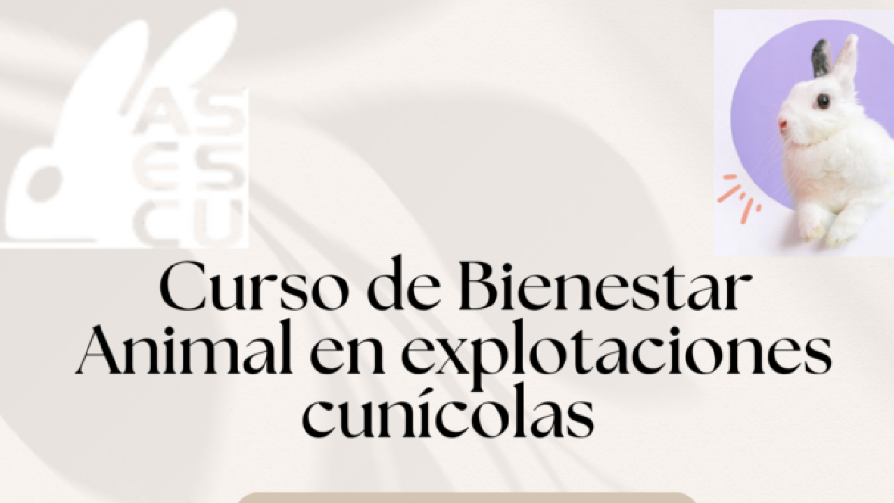 imagen principal noticia