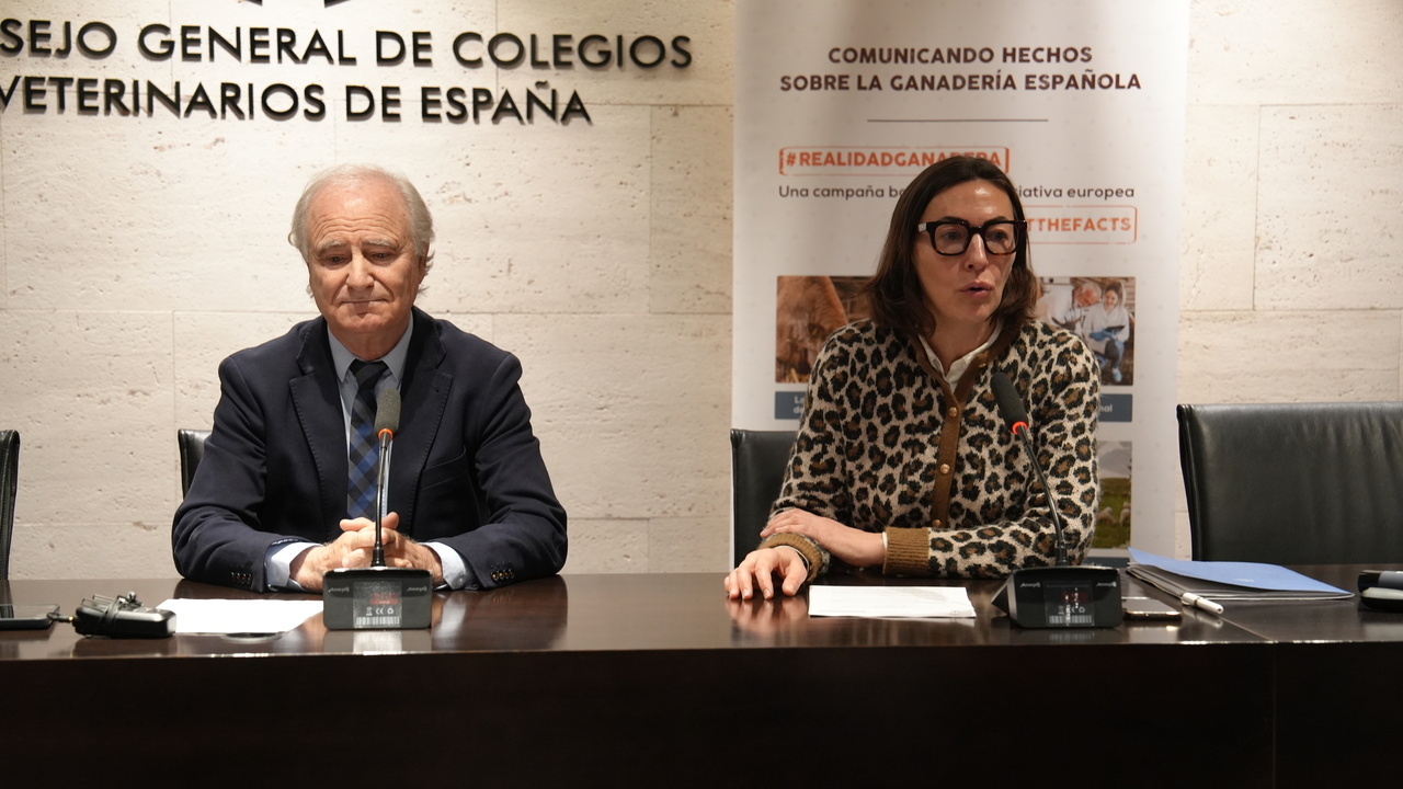 imagen principal noticia