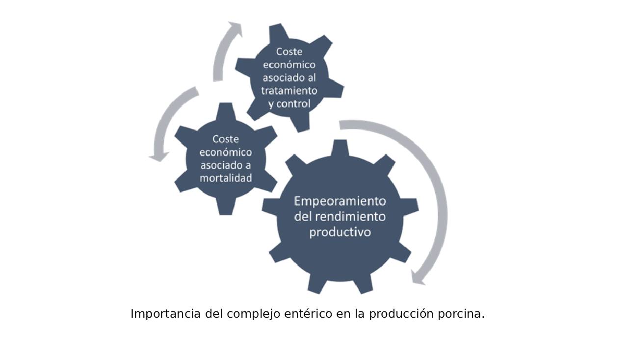 imagen principal noticia