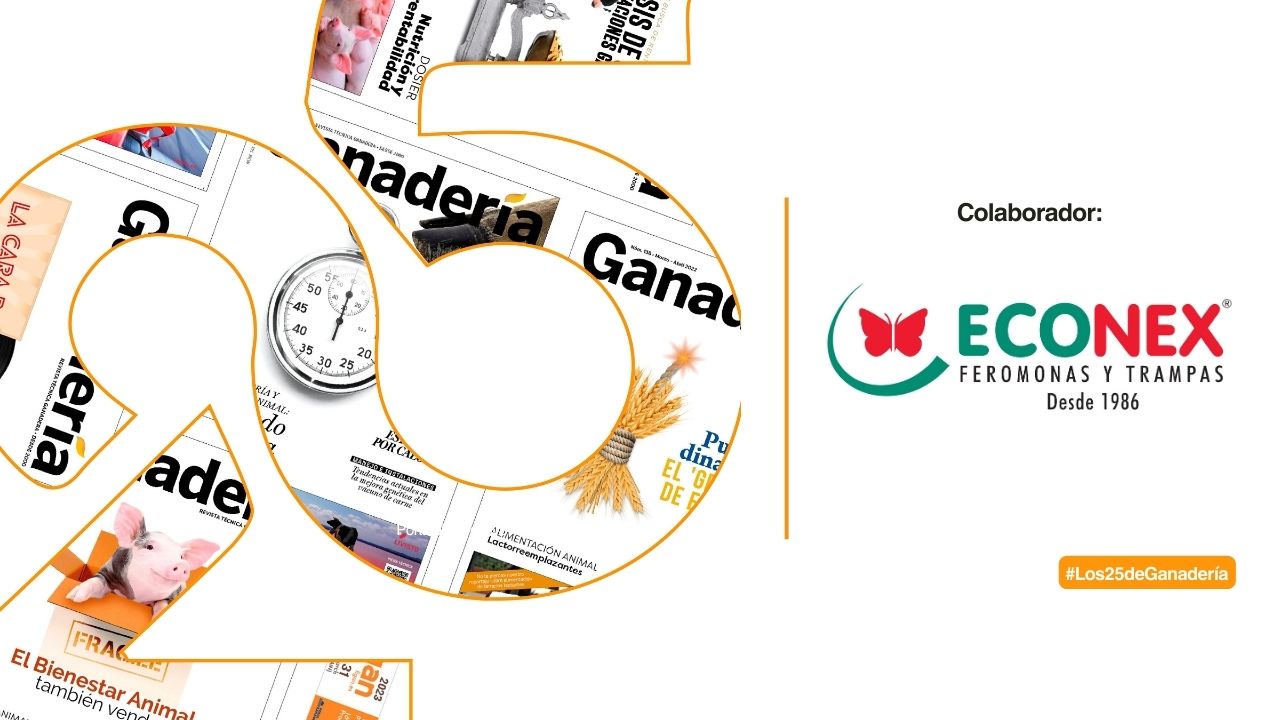 imagen principal noticia