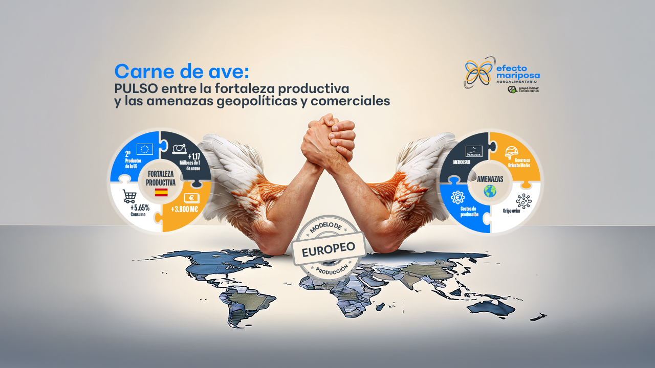 imagen principal noticia