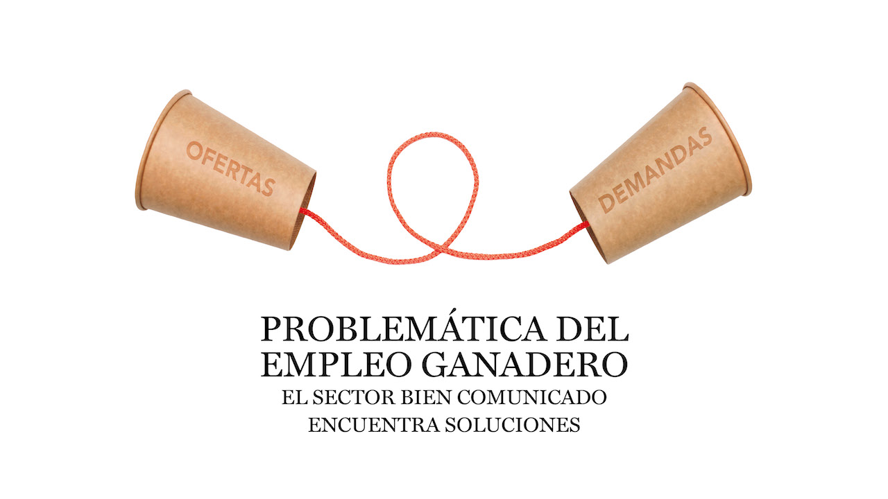 imagen principal noticia