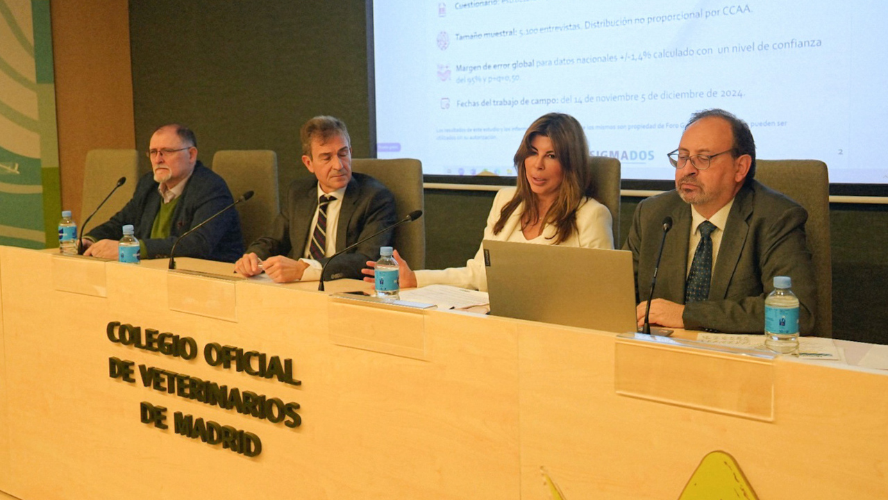 imagen principal noticia