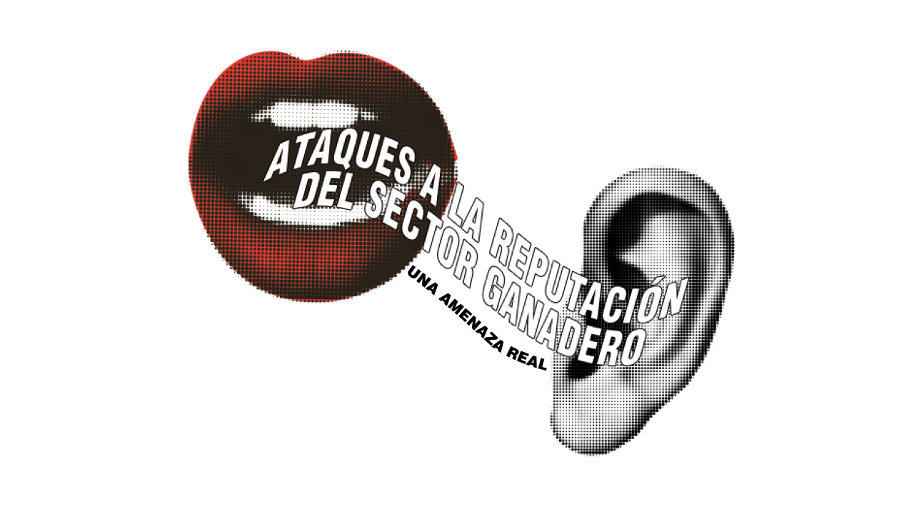 imagen principal noticia