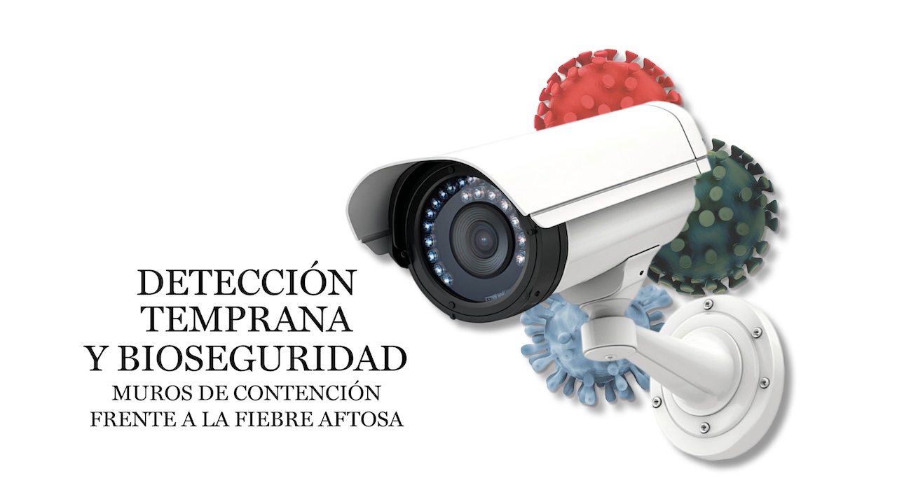 imagen principal noticia