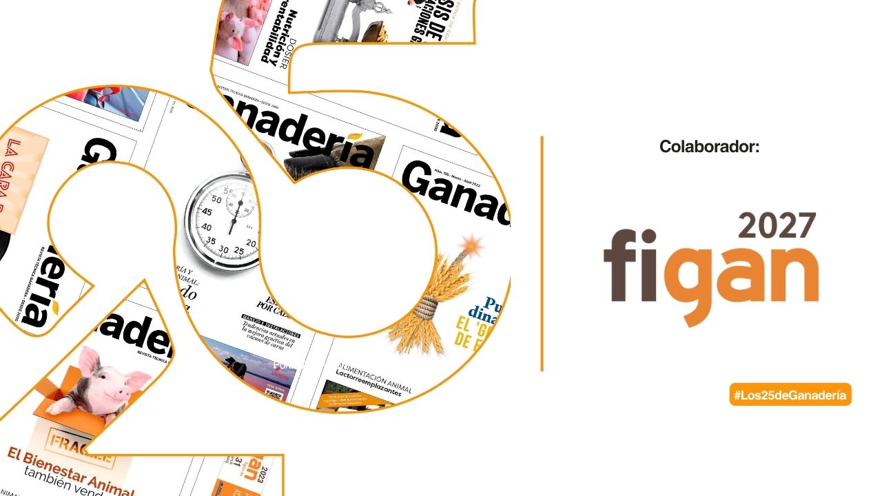 imagen principal noticia