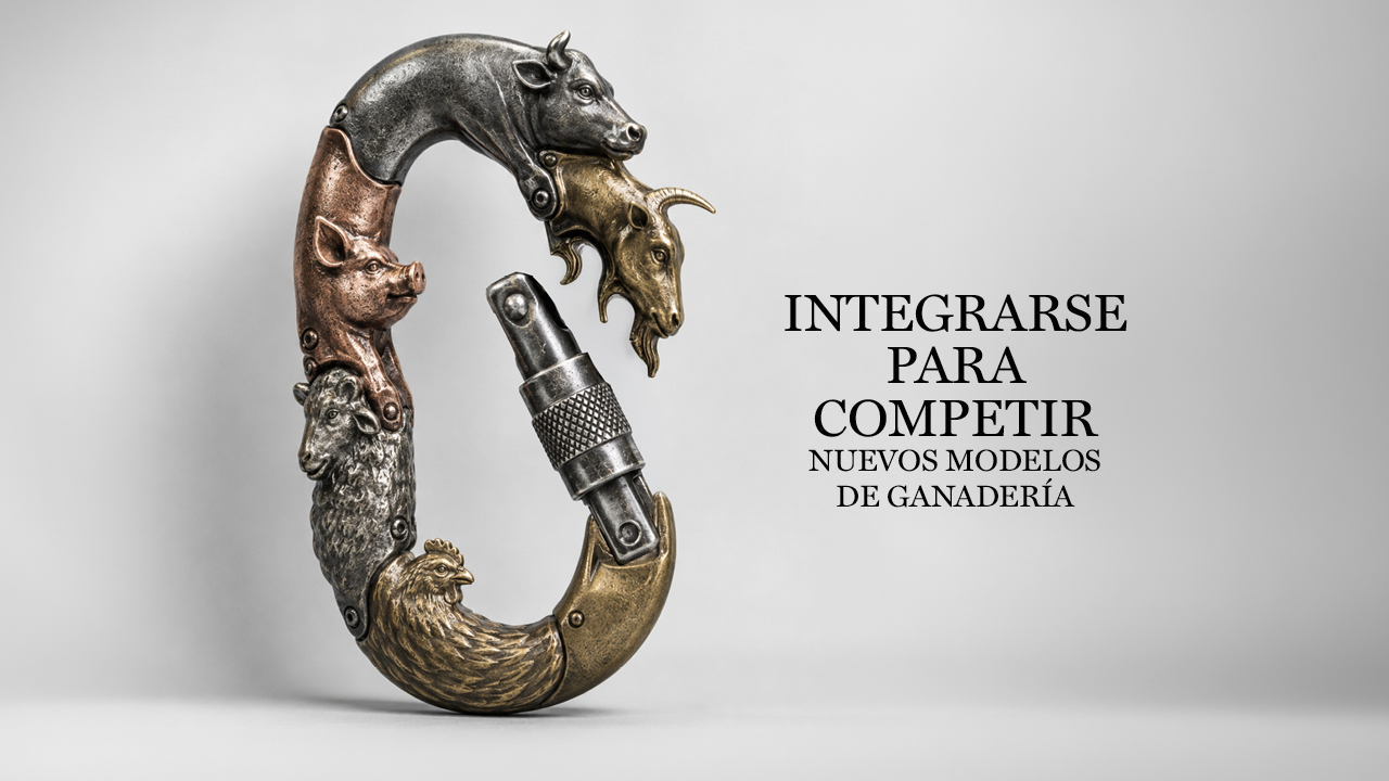imagen principal noticia